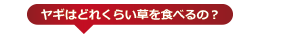 ヤギはどれくらい草を食べるの？