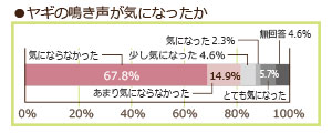 ヤギの鳴き声が気になったか