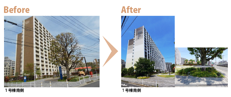 1号棟南側　Before　After