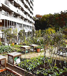 レーネンスガルデン鎌倉山崎(写真)
