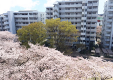 サンヴァリエ桜堤