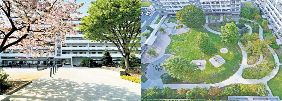 シティハイツ吉祥寺通り/ライフタウン国領