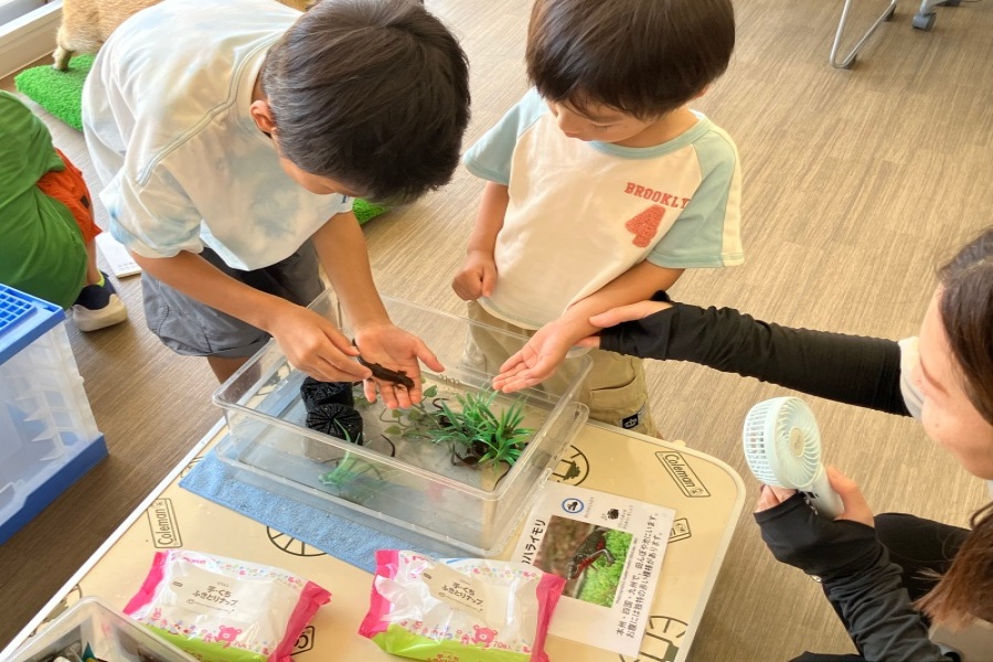 移動博物館 浜甲子園なぎさ街団地