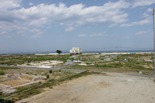 写真:全景