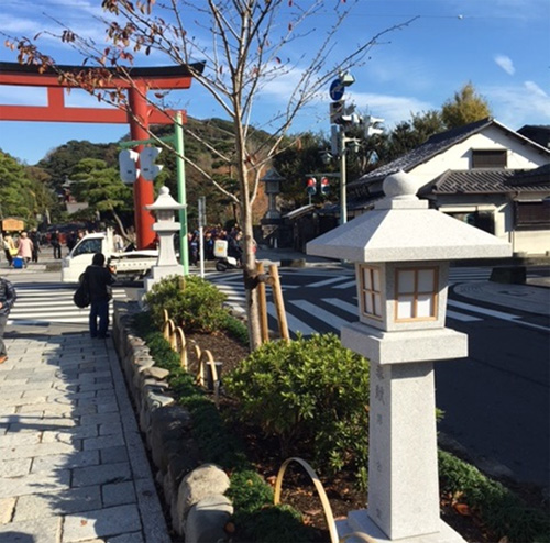 移植先の中街つつじ公園の様子