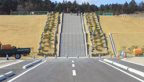 移植先の中街つつじ公園の様子