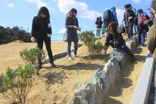 全体植樹の様子