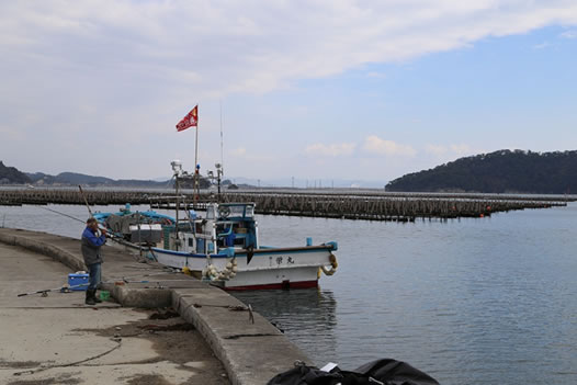 写真：朴島の港の様子。漁船が停泊し、湾内には牡蠣や海苔の養殖設備が広がります