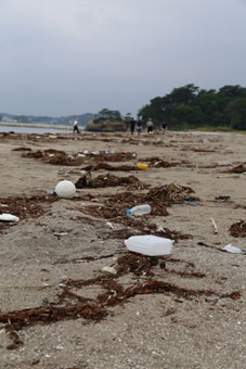海岸清掃前の砂浜。プラスチック容器や海藻が散乱している