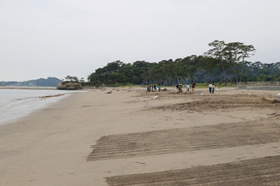 清掃の結果、海岸からはゴミはほとんど取り除かれた