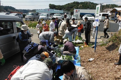 写真：ポットへの苗植え付け