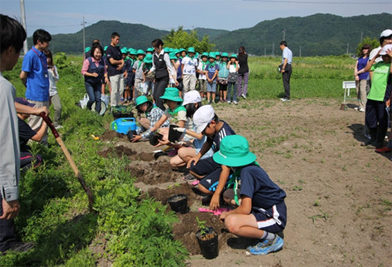 写真：樹木医の木田都城子先生からどんぐりの種類や育て方の説明を受けたあと、どんぐり苗木を植える児童たち