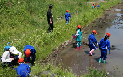 写真：田んぼの中の児童1