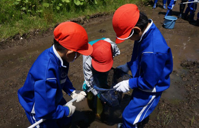 写真：田んぼの中の児童2