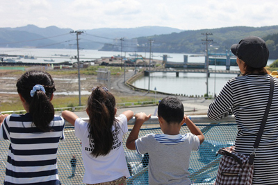 写真：盛土から見学する家族