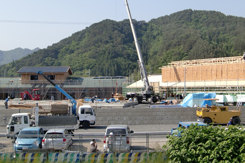 写真：大ケ口地区の様子（平成25年6月上旬）2