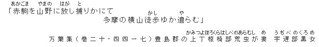 「赤駒（あかごま）を山野（やまの）に放（はが）し捕りかにて　多摩の横山徒歩（かし）ゆか遺（ゆ）らむ」万葉集（巻二十・四四一七）豊島郡の上丁（かみつよろぼ）椋椅部（くらはしべ）荒虫が妻　宇遅部（うじべ）黒女（くろめ）