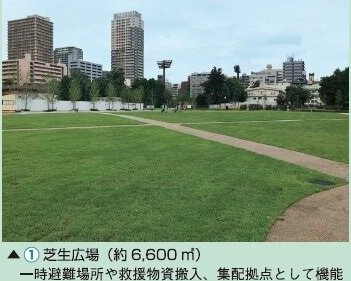 防災性向上の例（芝生広場）