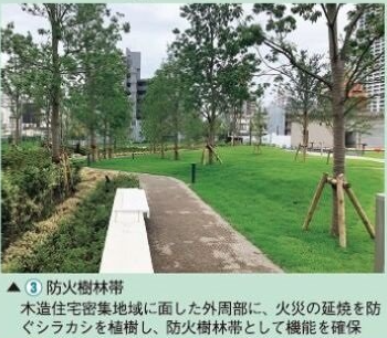 防災性向上の例（防火樹林）