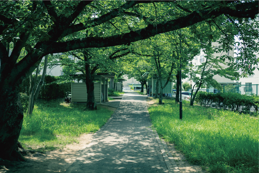 緑に包まれた団地内の通学路