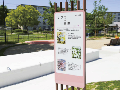 金剛団地のイメージ写真