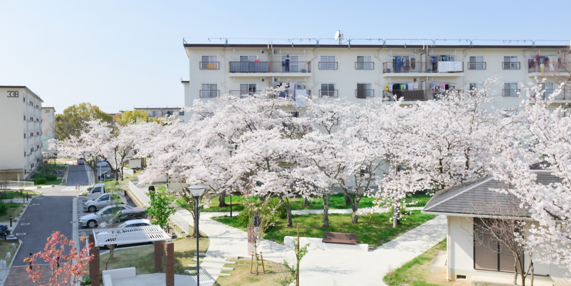 金剛団地
