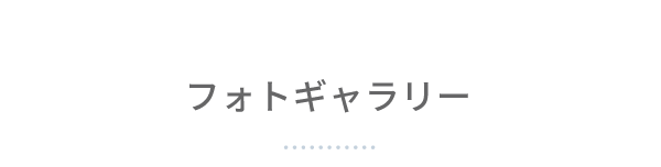 フォトギャラリー