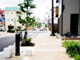 写真:中央1・2号線(東西方向コミュニティ道路)を西側に臨む