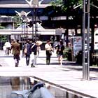 写真: