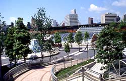 写真: