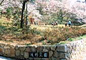 写真:浅野公園