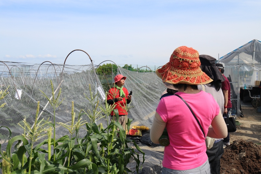 写真３：京都洛西移住・交流体験ツアー（農業体験）