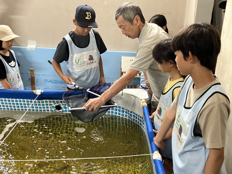 養殖施設でエビの出荷業務を体験する子どもたち