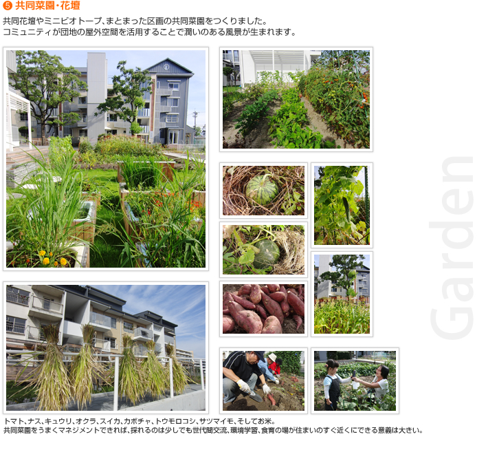 （５）共同菜園・花壇　共同花壇やミニビオトープ、まとまった区画の共同菜園をつくりました。コミュニティが団地の屋外空間を活用することで潤いのある風景が生まれます。トマト、ナス、キュウリ、オクラ、スイカ、カボチャ、トウモロコシ、サツマイモ、そしてお米。共同菜園をうまくマネジメントできれば，採れるのは少しでも世代間交流、環境学習、食育の場が住まいのすぐ近くにできる意義は大きい。